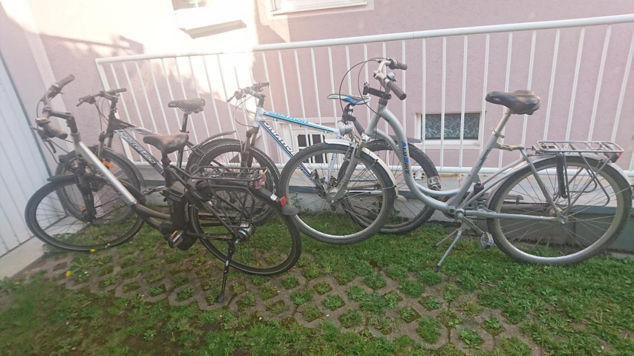 Ferienwohnung Lang Nittenau Eksteriør billede